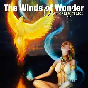 Picture for song 'The Winds Of Wonder (Live Piano Version)' by artist 'Donoughue'