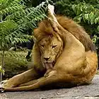 Picture for song 'Cajun Food and Diarrhea' by artist 'El Cruncho'