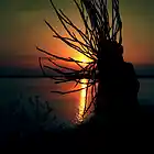 Picture for song 'Ya Mun 2.0 (prod. Joel Venom) *SMOOTH BANGER!!' by artist 'JoelVenomBeats'