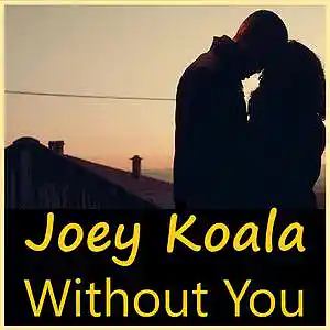Picture for song 'Without You' by artist 'Joey Koala'