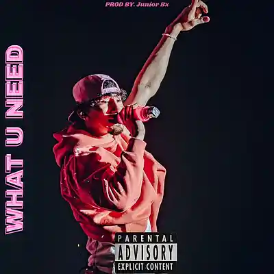 Picture for song 'WHAT U NEED RNB Type Beat 2026' by artist 'Junior on the beat'