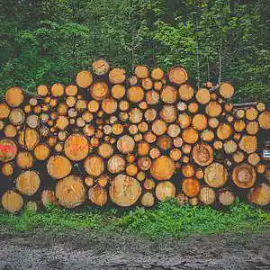 Picture for song 'Bands' by artist 'P.R Beats'