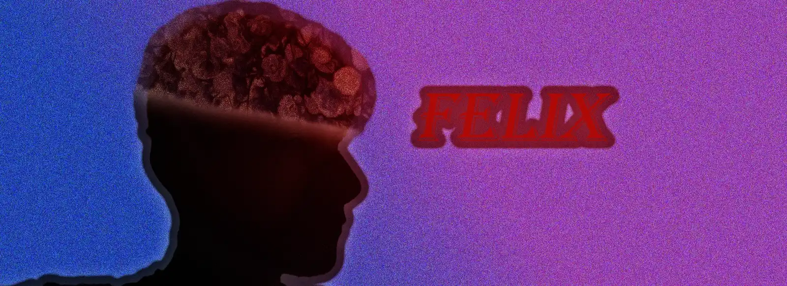 cover pic
