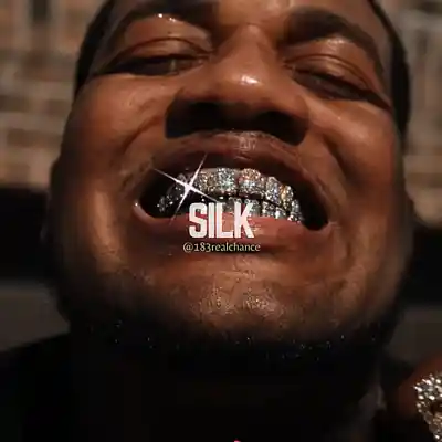 Picture for song 'Silk' by artist '183realchance'