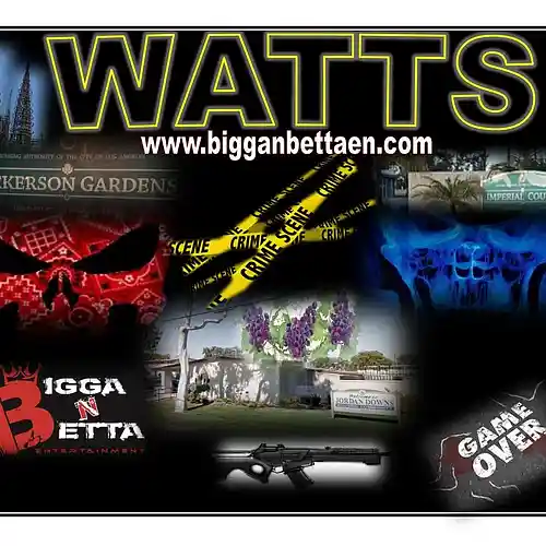 cover pic