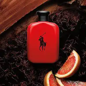 Picture for song '"Polo Red" - CAUTTI' by artist 'CAUTTI'