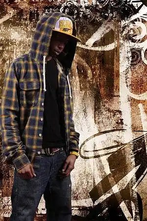 Artist picture