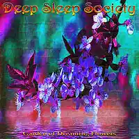 Picture for song 'Midnight in Metropolis' by artist 'Deep Sleep Society'