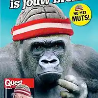 Picture for song 'Beervana Meditation' by artist 'Jammer59'