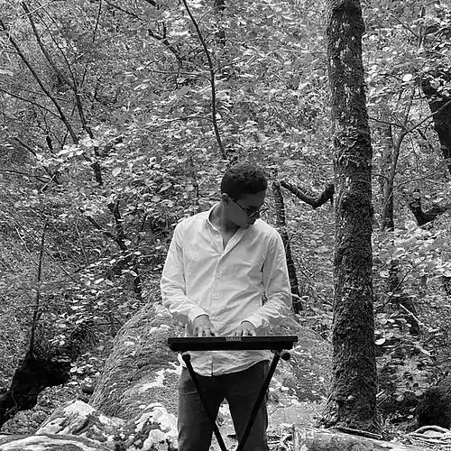 Artist picture