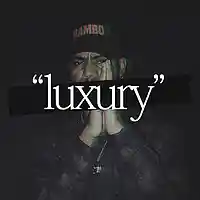 Picture for song 'Luxury R&Bass (FREE DL)' by artist 'SOOP Instrumentals'