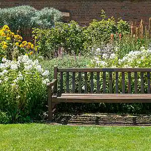 Picture for song 'Garden (Instrumental)' by artist 'Denzlo'