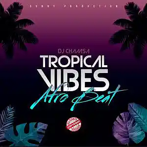 Picture for song 'DJ Chamssa_Tropical Vibes' by artist 'DJ Chamssa Beats'