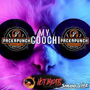 Picture for song 'My Goochi' by artist 'DJ Smuggler'