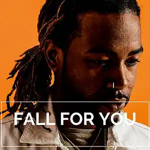 Picture for song 'FALL FOR YOU / Afrobeat' by artist 'Le Mak Music'