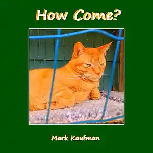Picture for song 'How Come?' by artist 'Mark Kaufman'