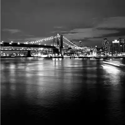 Song picture of 'Nocturnal'