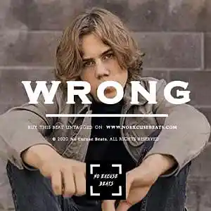 Picture for song 'The Kid LAROI "Wrong" BUY 2 GET 1 FREE' by artist 'No Excuse Beats'
