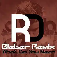 Picture for song 'What Do You Mean Remix ADHD' by artist 'Ryan Desrochers'