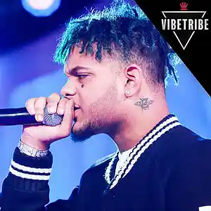 Picture for song '*Smokepurpp* Polo (BUY 1 GET 1 FREE!)' by artist 'VibeTribeBeatz'