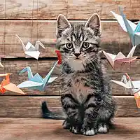 Picture for song 'ORIGAMI *Pop & Rap Hitz!* Free Download' by artist 'YB MUZiK'