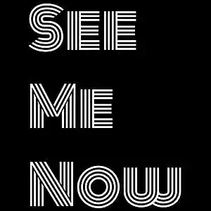 Picture for song 'See Me Now' by artist 'Four11 Productions'