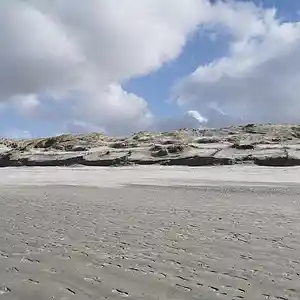 Picture for song '20240321_205710_Berlin_sf_3' by artist '786 scheint-Al'lahs Bande'