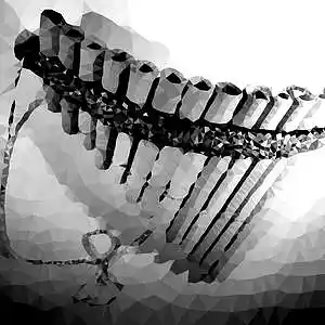 Picture for song 'La muse' by artist 'Alejandro Paris (IT)'