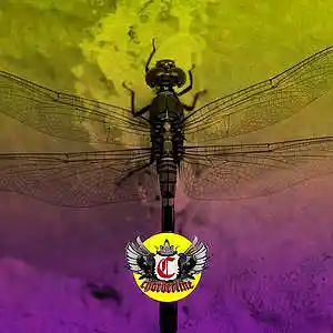 Picture for song 'Dragonfly (Post Malone Kodak Black Type Beat)' by artist 'Chorderline'