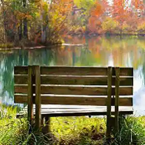 Picture for song 'Quiet style' by artist 'Christian Faivre'