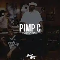 Picture for song 'SOLD! Pimp C *COUNTRY RAP TUNES INSTRUMENTAL*' by artist 'ProdbyHeartbeatz'