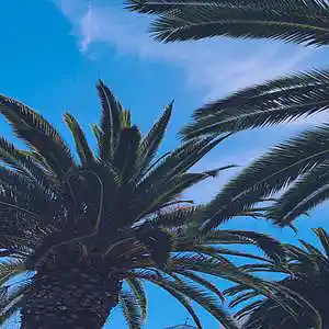 Picture for song 'Candles - Prod Steez' by artist 'Prod. Steez'