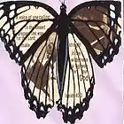 Picture for song 'crave' by artist 'Rebecca Scott'