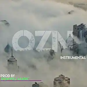 Picture for song 'OZN' by artist 'Ronwill Musiic'