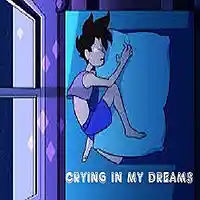 Picture for song 'Crying In My Dreams (Llorando En Mis Suenos)' by artist 'The Jay Dyall Project'