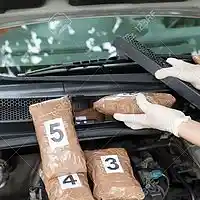 Picture for song 'STASH SPOT' by artist 'Carnage The God'