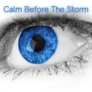Picture for song 'Calm Before The Storm' by artist 'EaselDBeats'