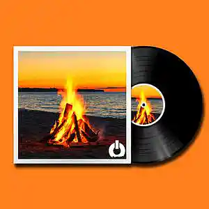Picture for song 'Fire (BUY 1 GET 1 FREE) FlowSwitchMusic.com' by artist 'Flow Switch'