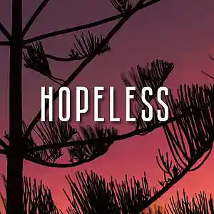 Picture for song 'HOPELESS' by artist 'HIWYER'