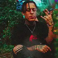 Picture for song 'Roses (Lil Skies Type Beat)(BUY 1 GET 2 FREE)' by artist 'AYOCXRN (Formerly King Corn Beatzz)'
