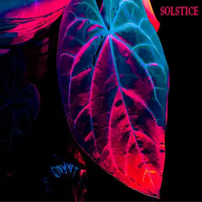 Picture for song 'Solstice' by artist 'Sean Ferree'