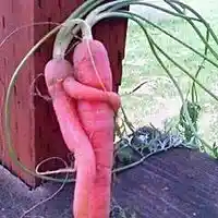 Picture for song 'Nine and a half weeks...' by artist 'stefanos grigoriadis'