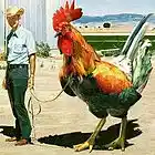 Picture for song 'The Red Rooster' by artist 'Dennis McClung Blues Band (US)'