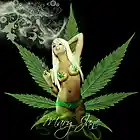 Picture for song 'Run away with maryjane' by artist 'grantboyrecords2013'
