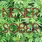 Picture for song 'Never Sober' by artist 'Harlow Beats'