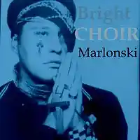 Picture for song 'Bright Choir' by artist 'Marlonski Martin Doeringer'