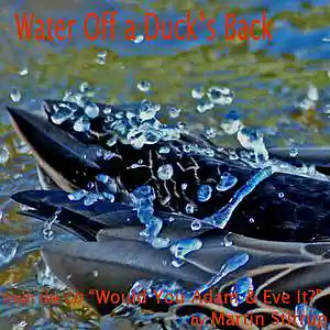 Picture for song 'AE 06 Water Off a Ducks Back' by artist 'martin stirrup'