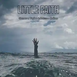 Picture for song 'Cameron Taylor - Little Faith' by artist 'itscamerontaylor'