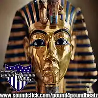 Picture for song 'Livin like a King' by artist 'WESOUAFOOL'