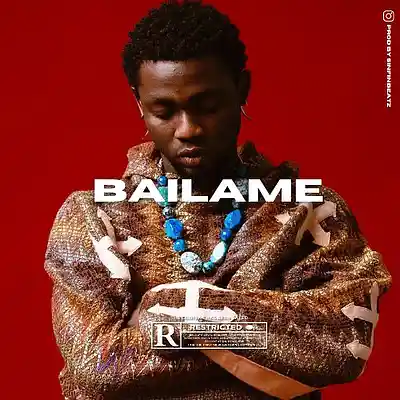 Picture for song '*NEW* BAILAME (BUY 2 GET 3 FREE)' by artist 'Victus Fire'